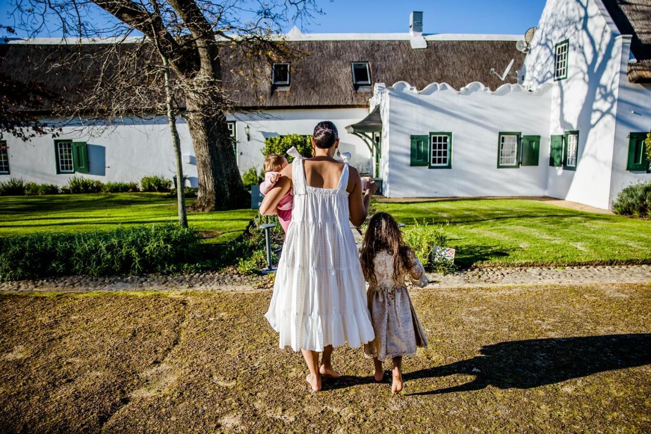 Steenberg & Tokai