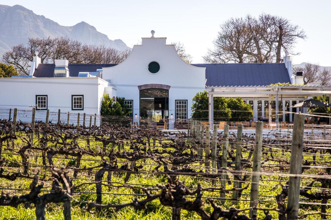 Hotel Steenberg & 5*
