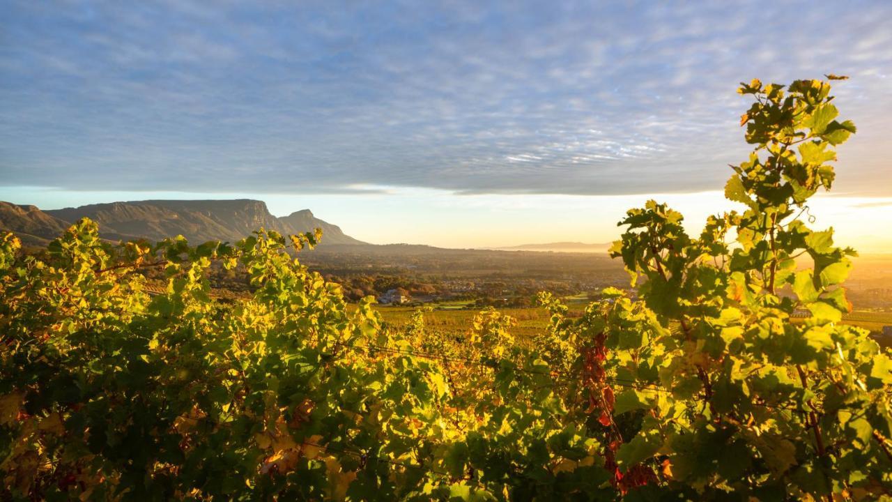 Hotel Steenberg &