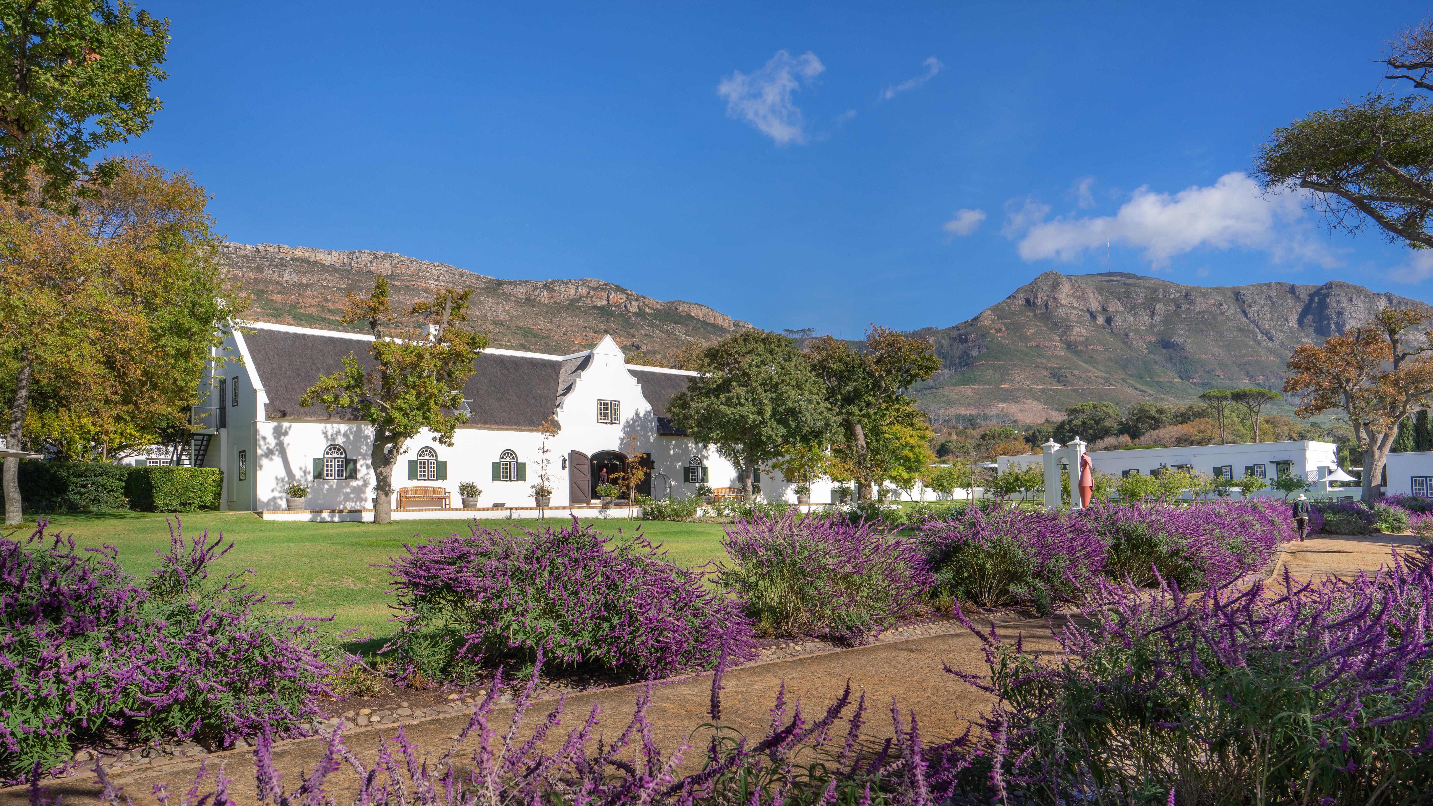 Steenberg & Hotel Tokai